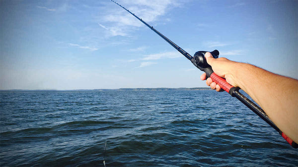 Saltwater Fishing Gear: Rods, Reels and Baits